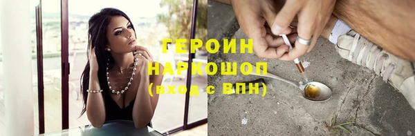 индика Богородицк