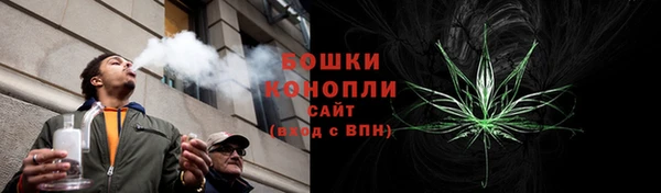 индика Богородицк