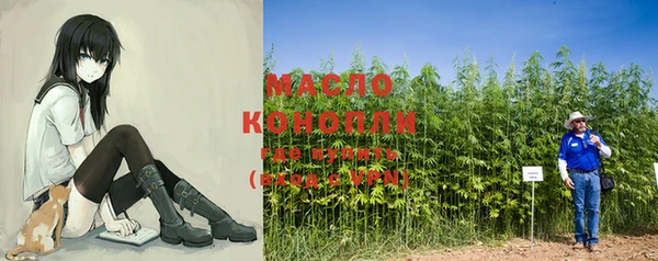 индика Богородицк