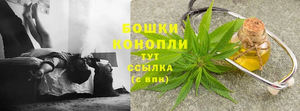 индика Богородицк