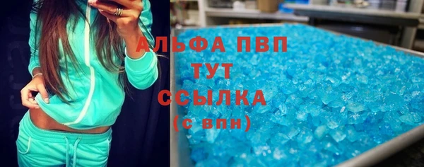 индика Богородицк