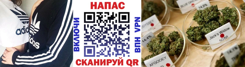 МАРИХУАНА Amnesia  Няндома 